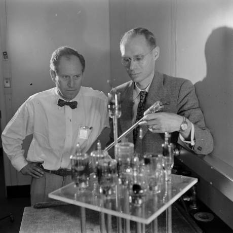 scientists in bowties